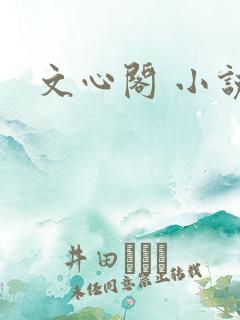 文心阁 小说