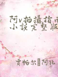 阿v拍摄指南说小说完整版