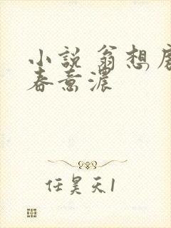 小说 翁想房中春意浓