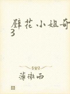 壁花小姐奇遇记3