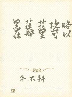 黑莲花攻略手册在哪里可以免费阅读