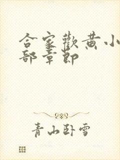 合家欢黄小梅全部章节