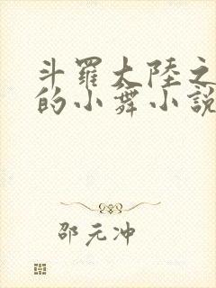 斗罗大陆之Y荡的小舞小说