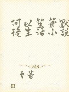 何以笙箫默之婚后生活小说