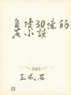 负债30亿的男友小说