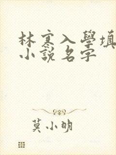 林寒入学填未婚小说名字