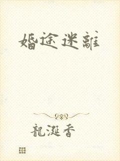 婚途迷离