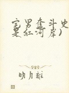 宅男奋斗史(天是红河岸)