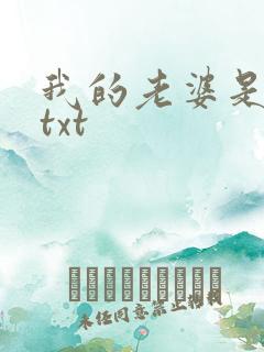 我的老婆是上司txt