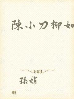 陈小刀柳如意