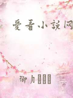 爱看小说网