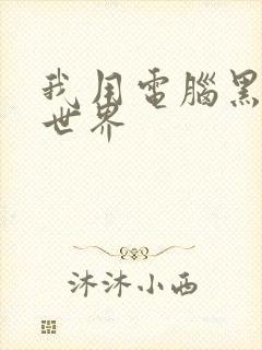 我用电脑黑了全世界