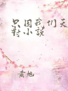 只因我们天生一对小说