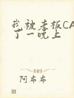 我被老板CAO了一晚上