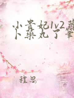 小贵妃1v2萝卜药丸了笔趣阁