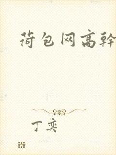荷包网高干文