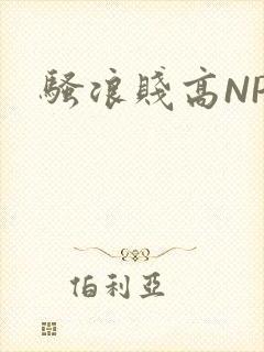 骚浪贱高NPH