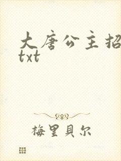 大唐公主招亲记txt