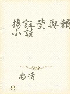 杨钰莹与赖昌星小说