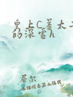 皇上C着太子妃的深处h