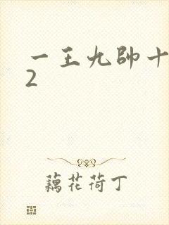 一王九帅十二宫2