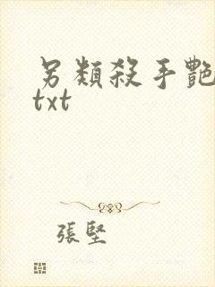 另类杀手艳福星txt