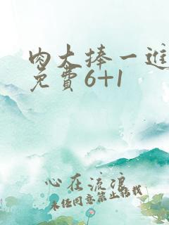 肉大捧一进一出免费6+1