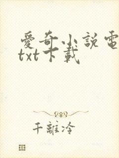 爱奇小说电子书txt下载