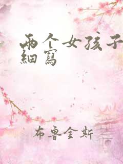 两个女孩子开车细写