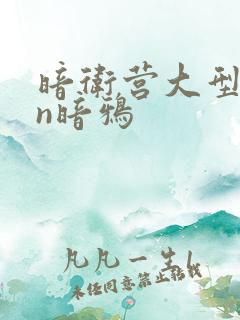 暗卫营大型hpn暗鸦