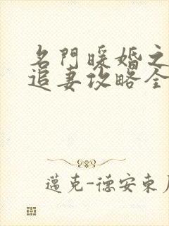 名门暖婚之权爷追妻攻略全文免费阅读