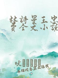 林诗曼王忠文免费全文小说的名称