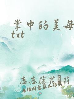 掌中的美母版主txt