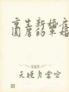 重生新婚夜正在圆房的军婚小说