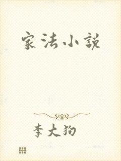 家法小说