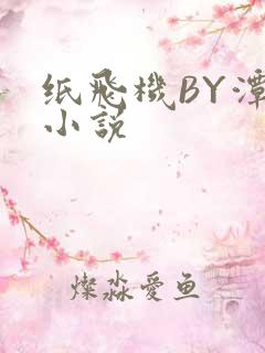 纸飞机BY潭石小说