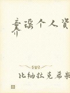 童瑶个人资料简介