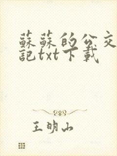 苏苏的公交车日记txt下载