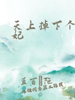 天上掉下个奇王妃