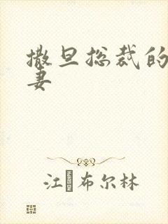 撒旦总裁的下堂妻