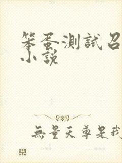 笨蛋测试召唤兽小说