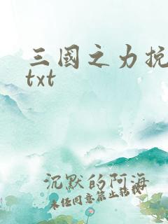 三国之力挽狂澜txt