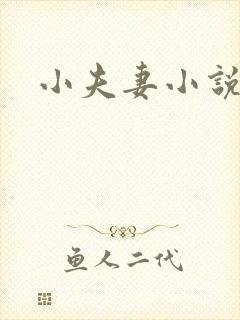 小夫妻小说