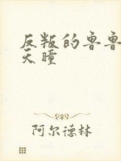 反叛的鲁鲁修之天瞳