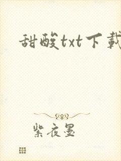 甜酸txt下载