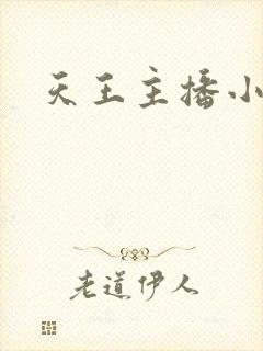天王主播小说