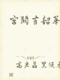 宫阙有韶华