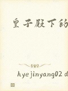 皇子殿下的傲妃