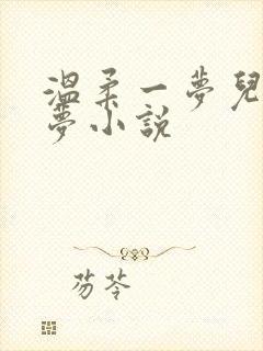 温柔一梦儿媳林梦小说