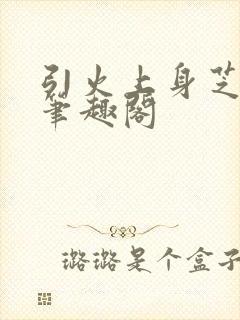 引火上身芝麻糖笔趣阁